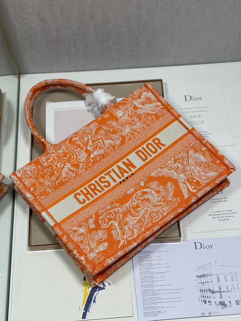 Christian Dior Shopping Bags